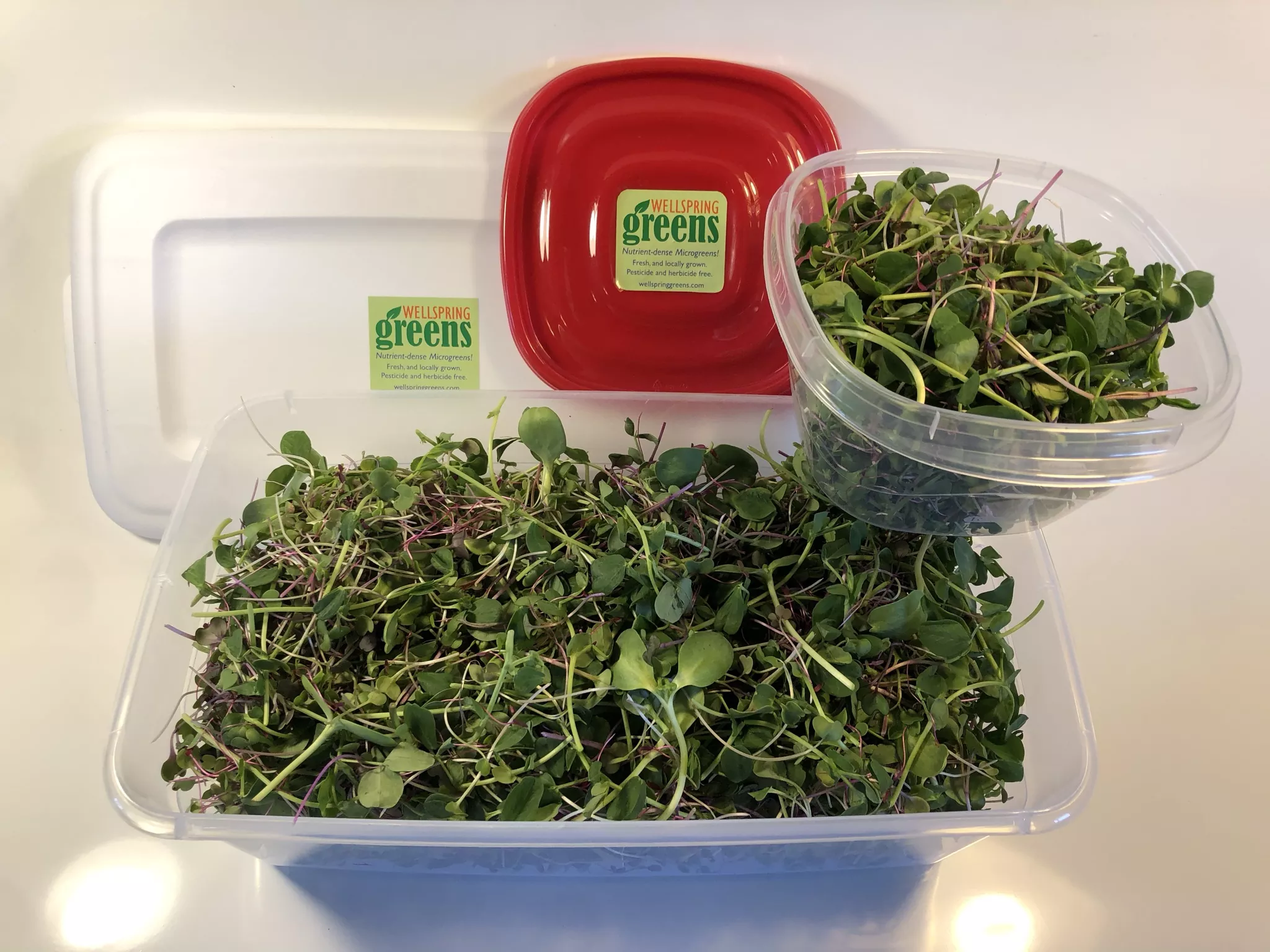 Our Microgreens